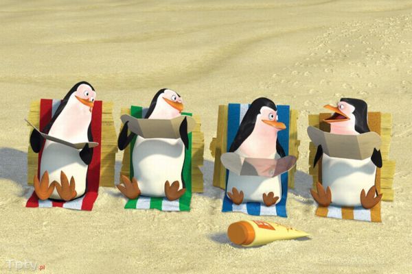 Pingwiny pla%c5%bca