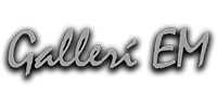 Gallerí EM logo