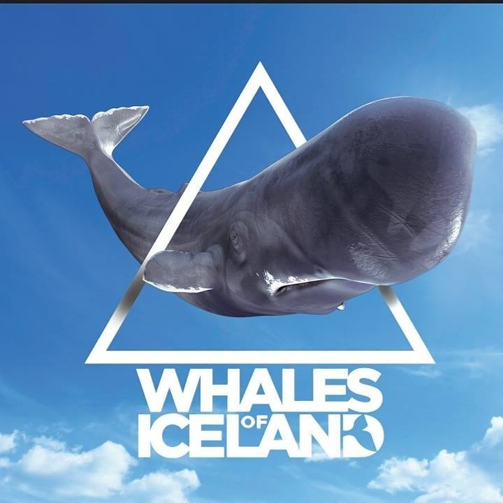 Whales of Iceland - Hvalasafnið logo