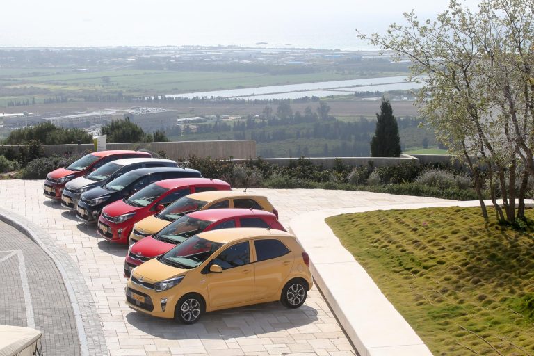 פיקנטו חדשה במגוון צבעים ברקע הרי הצפון