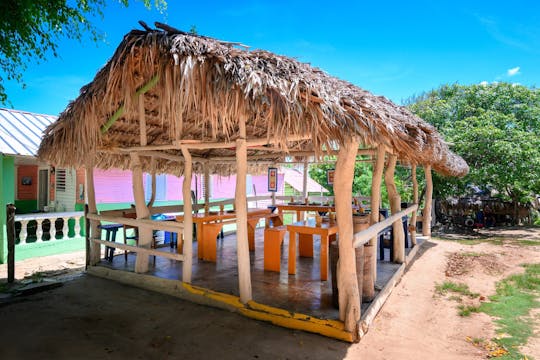 Excursión de día completo para descubrir la cultura dominicana a través del café y la gastronomía