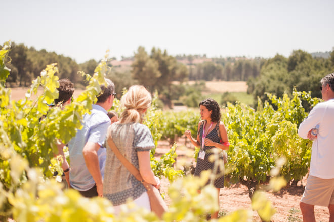 Excursión al Monasterio de Montserrat desde Barcelona con visita a una bodega