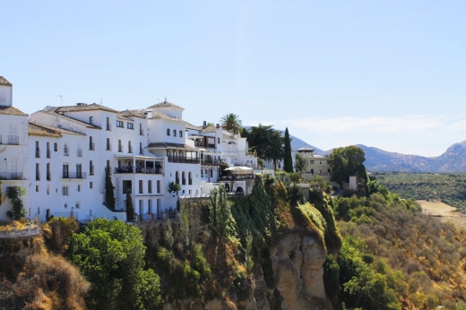 Dolphin and whale watching tour from Tarifa