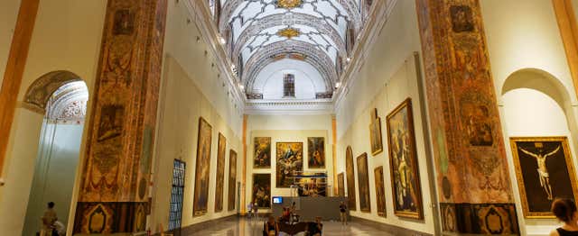 Visita guiada por el Museo de Bellas Artes
