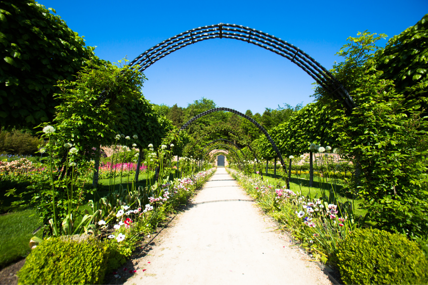 Attractions Bangor walled garden