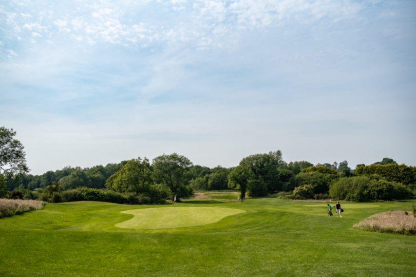Sports blackwood golf