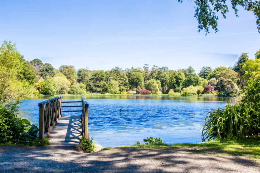 Walking mount stewart