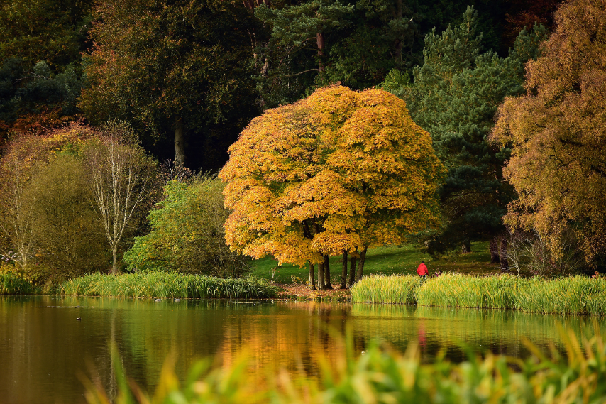 Autumn at mount stewart