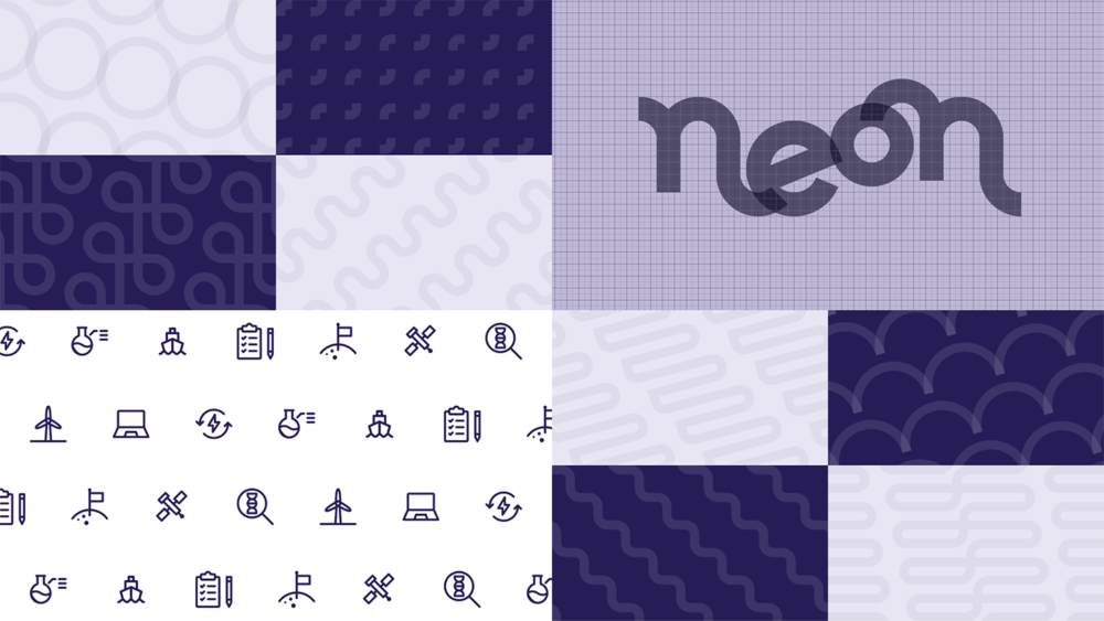 Neon assets exploration