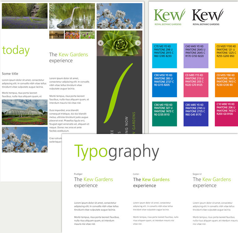 A style guide of colour and typography.