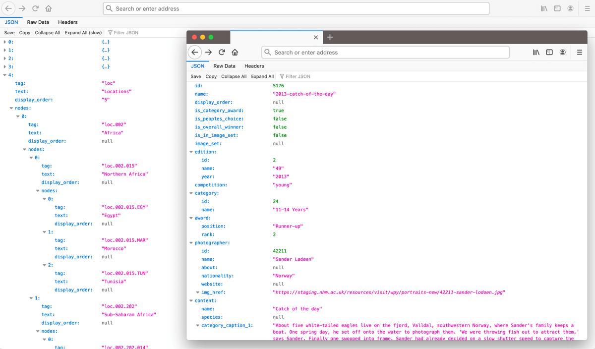 Screenshots of JSON data in a browser.