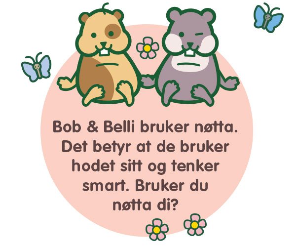 BB_slik-bruker-de-notta