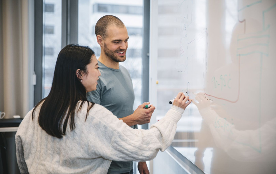 Työsuojelulainsäädännön perusteet esihenkilöille ja johdolle