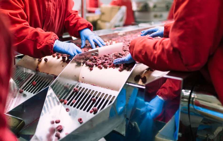 Elintarvikehygienia -koulutus