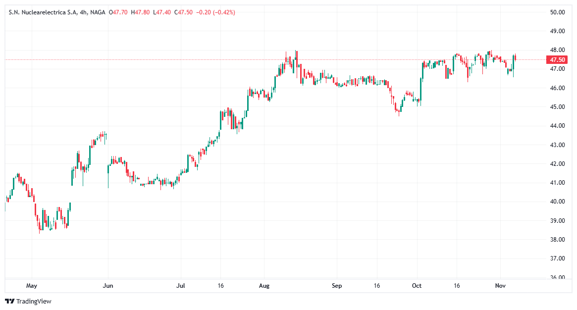 Cum investești în acțiuni SNN?
