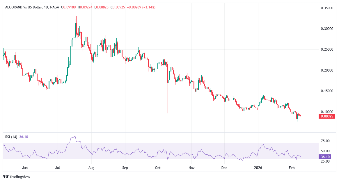 أفضل عملة مشفرة في عام 2026 - عملة ألغوراند Algorand (ALGO)