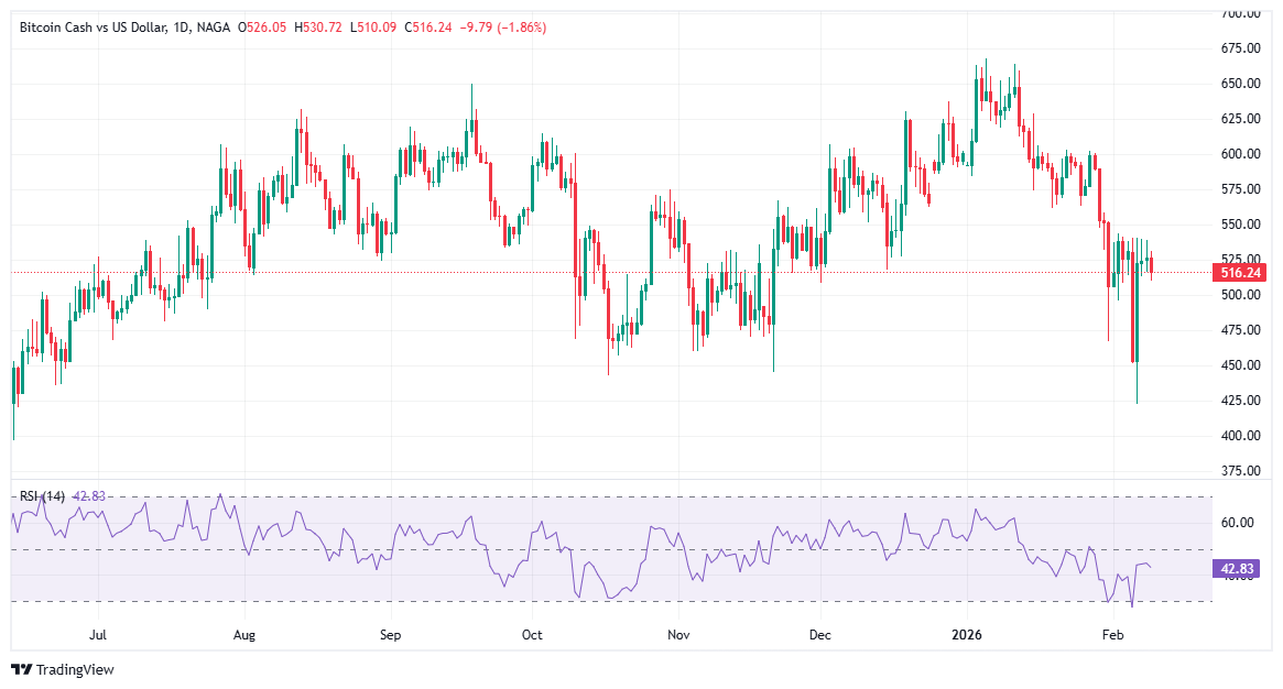 افضل عمله رقميه 2026 - عملة بيتكوين كاش Bitcoin Cash (BCH) 