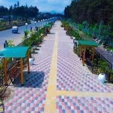 Avatar for tadese-nagewo