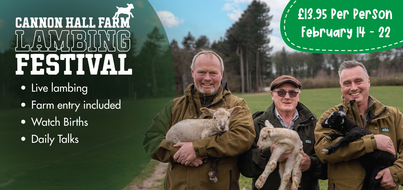 Feb Lambs Banner2.jpeg