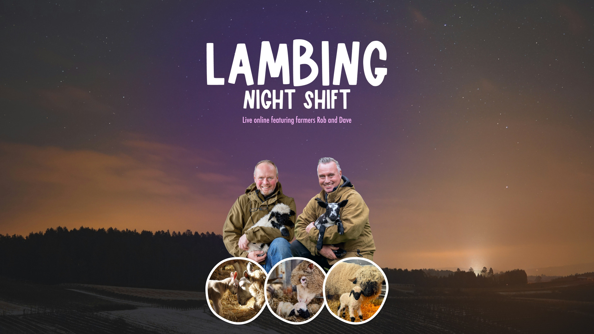 Lambingnightposter.jpeg