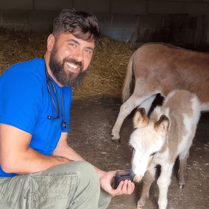 With special guest Marco (our Shire horse vet).