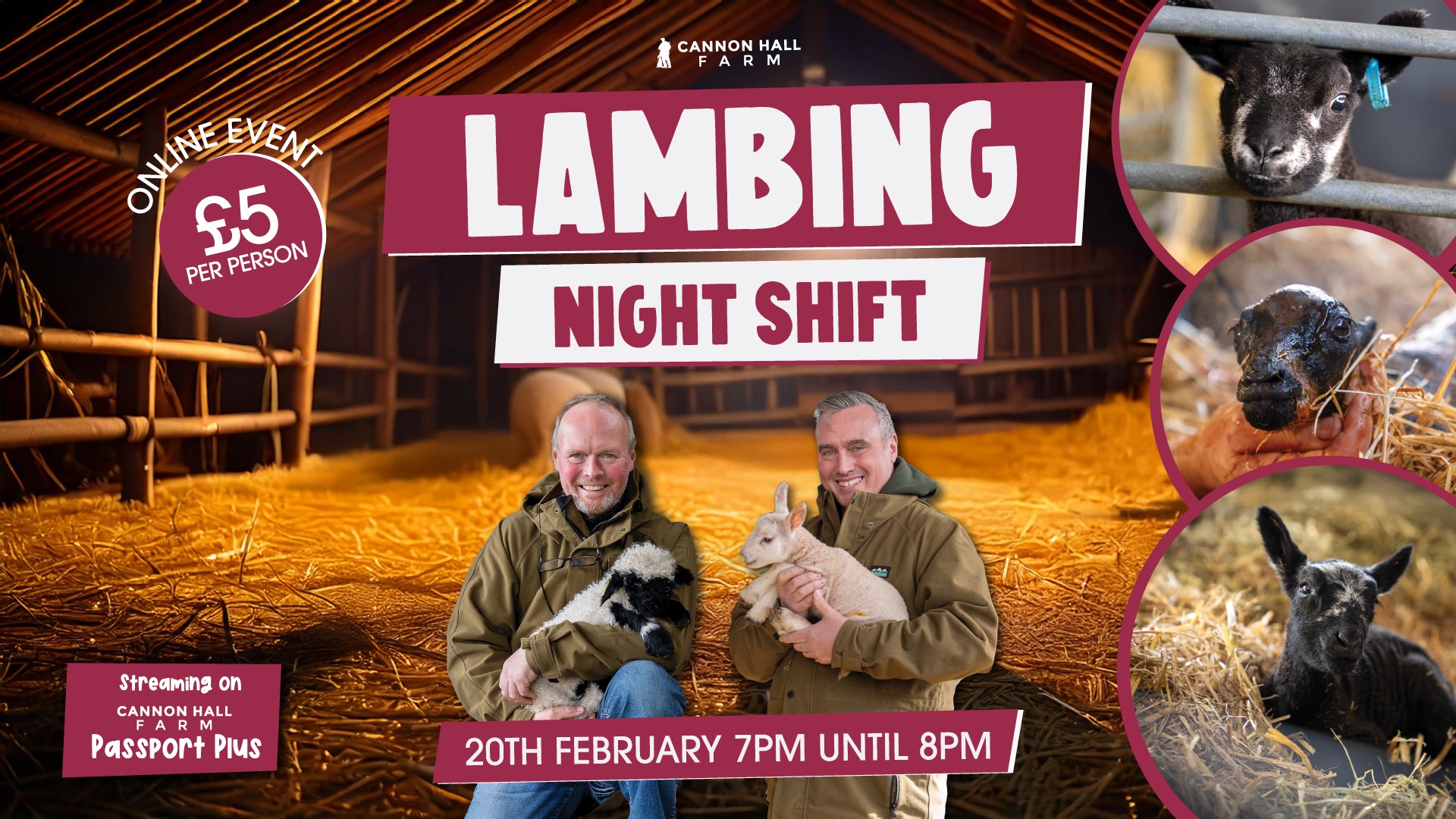 web lambing virtual feb.jpg