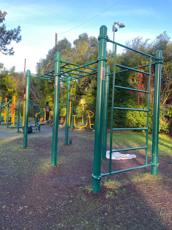 Image of Albert College Park Calisthenics