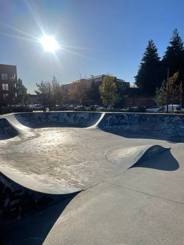 Image of Weaver Park Skatepark