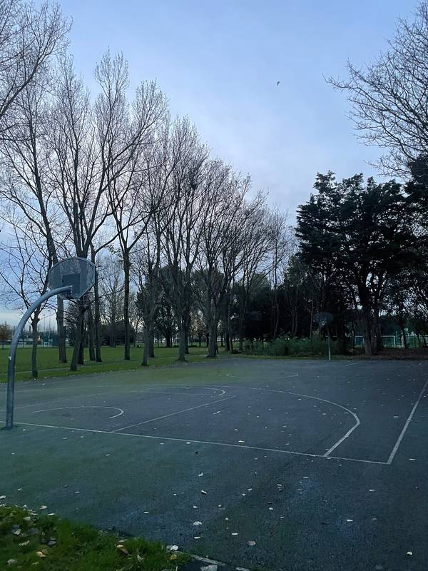 Image of Ringsend Park Basketball Court