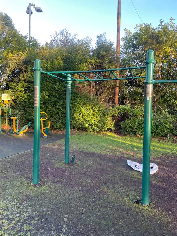 Image of Albert College Park Calisthenics