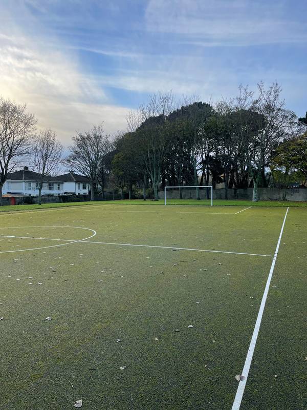 Image of Courtlands Football Pitch