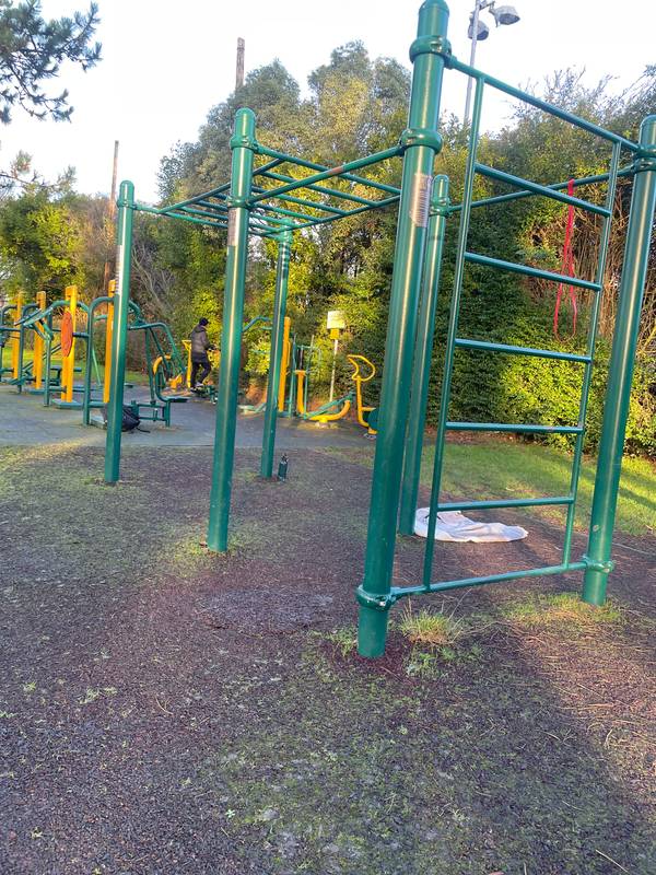 Image of Albert College Park Calisthenics