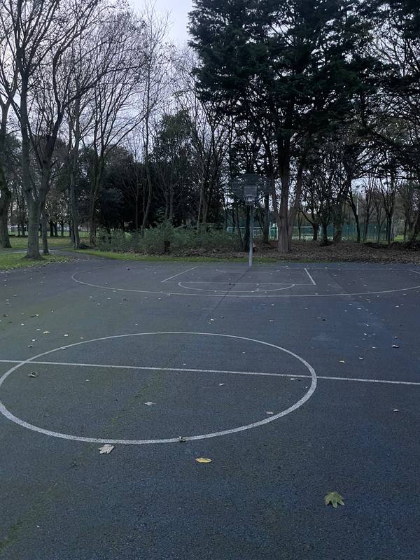 Image of Ringsend Park Basketball Court