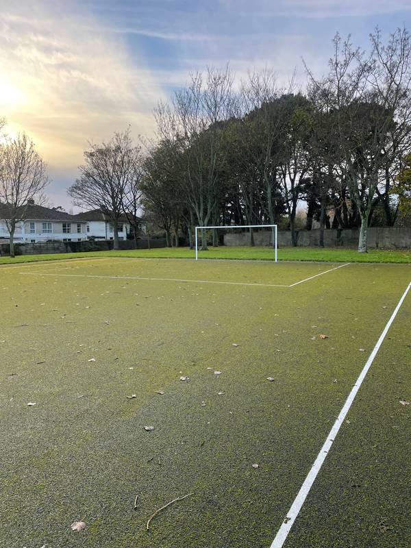 Image of Courtlands Football Pitch