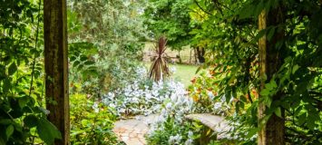 A garden with plants and trees.