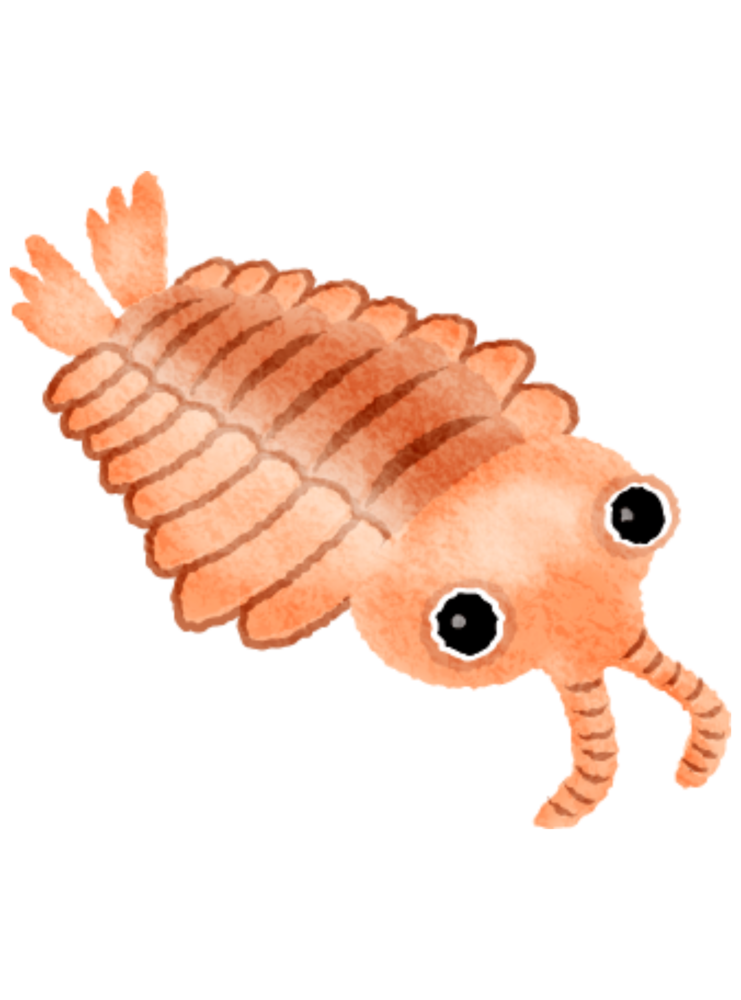 Kraken Cymru At Cotton Cart