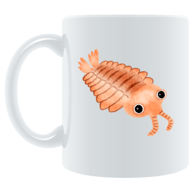 Kraken Cymru Anomalocaris At Cotton Cart