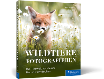 Wildtiere fotografieren