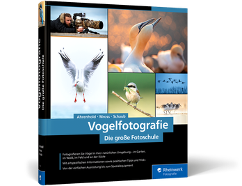 Vogelfotografie