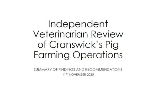 Independent Vet Review