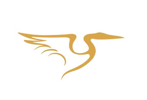 Website newsfeed