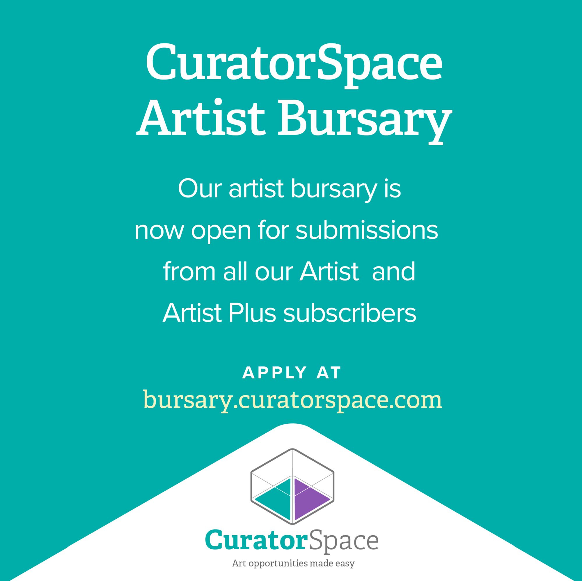 CuratorSpace Artist Bursary #29