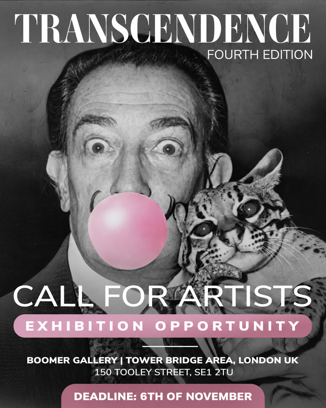 Boomer Transcendence- Call For Artists
