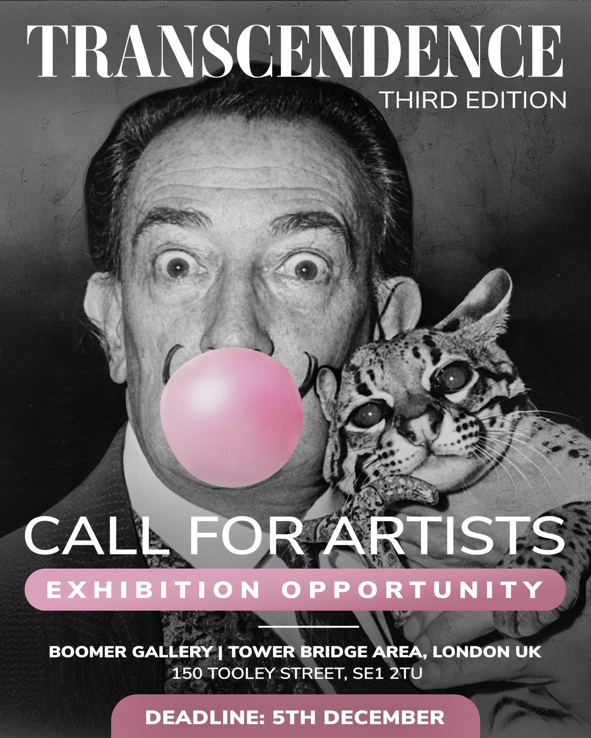 Boomer Transcendence- Call For Artists