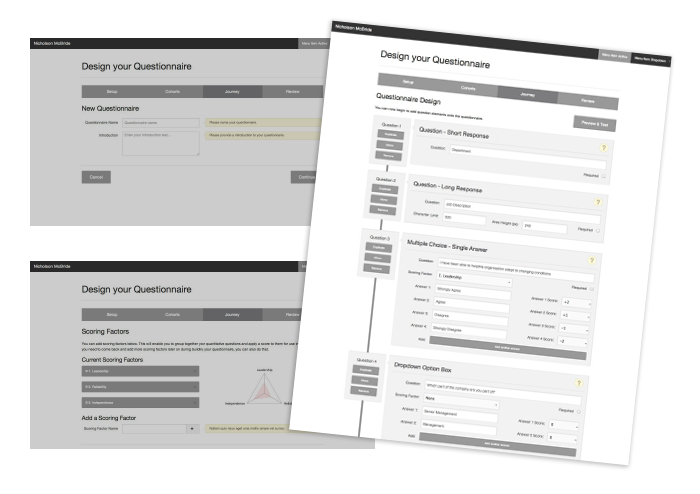 Client nicholson mcbride questionnaire v2