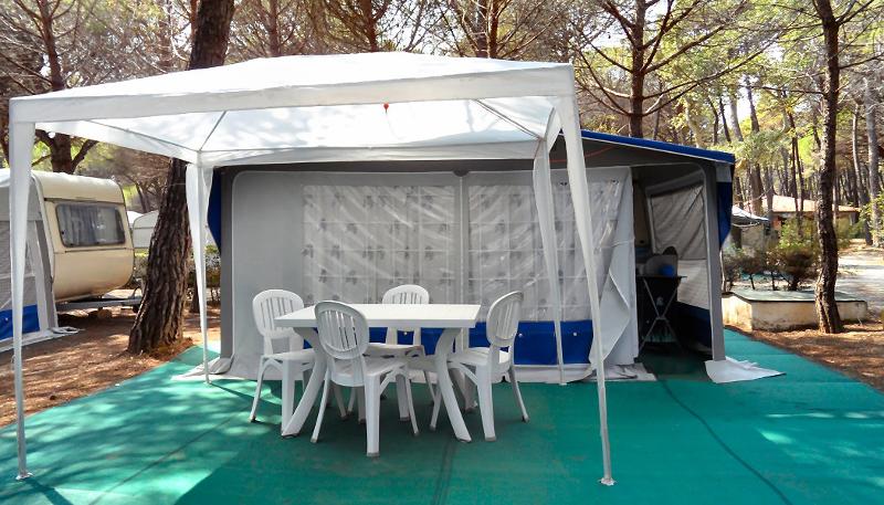 vickywood markise VICKYWOOD Seitenmarkise 250 cm grau – Monkey-Camper