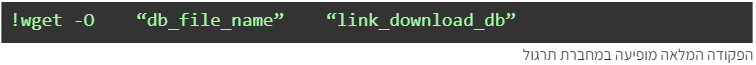 צילום מסך של פקודה להורדת קבצים