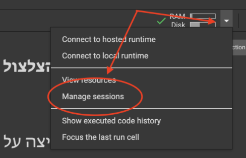 צילום מסך של כפתור manage sessions.