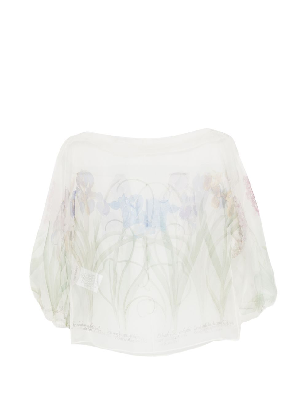 Blusa Alberta Ferretti trasparente