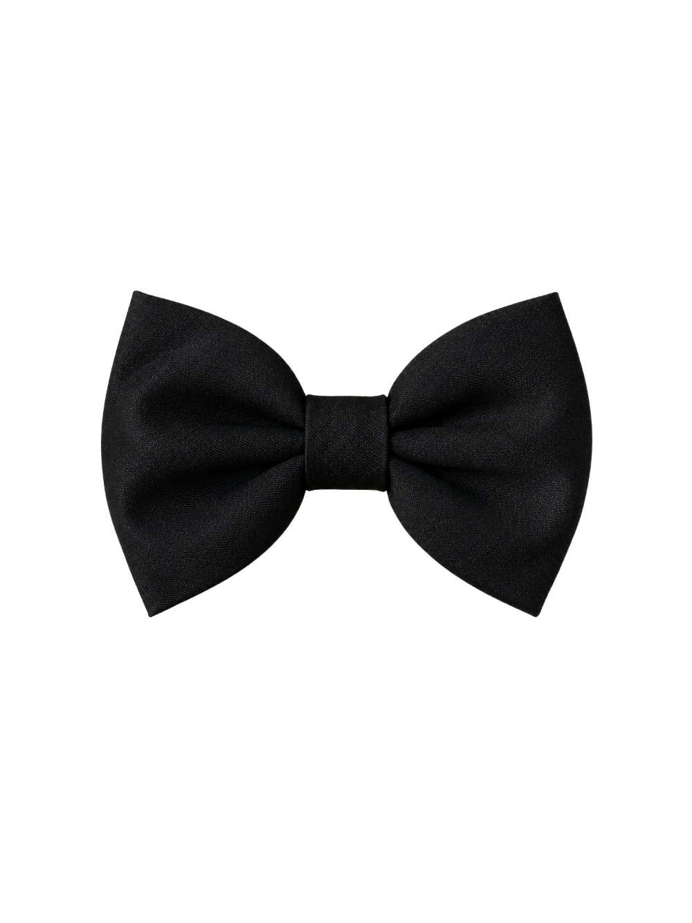 Papillon Tagliatore blu